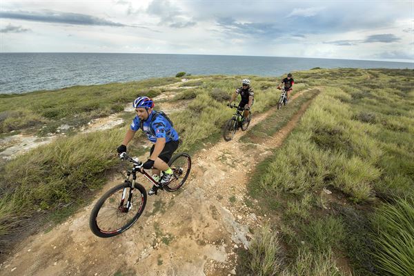 another Pic of mountain biker