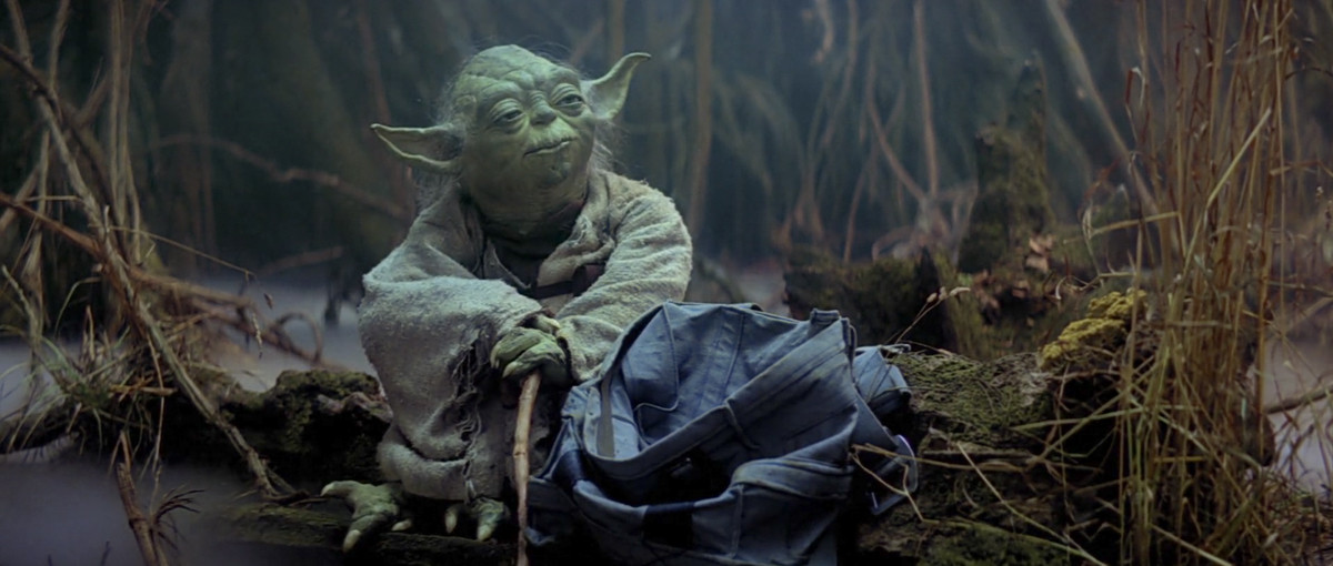 A picture of Jedi Master Yoda